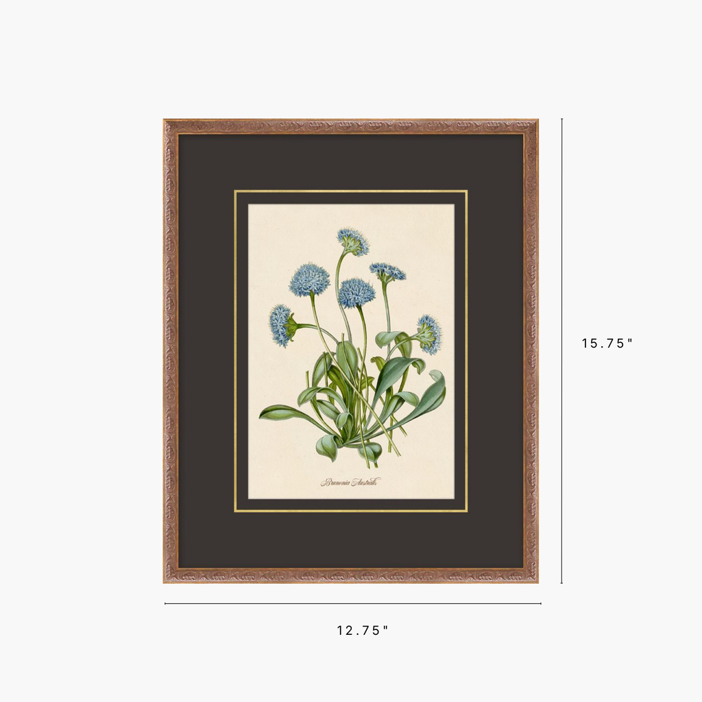 Figures of Flora 3