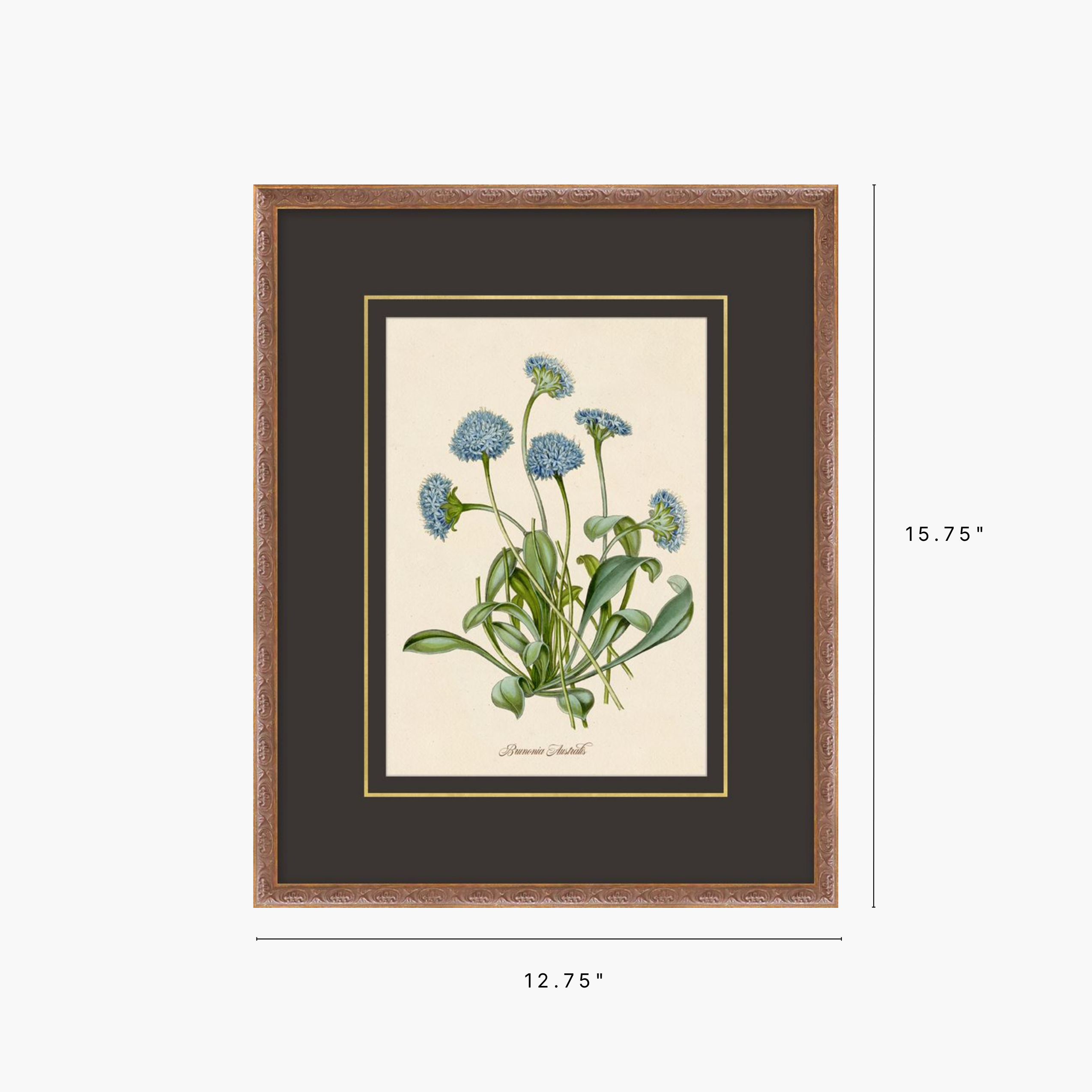 Figures of Flora 3