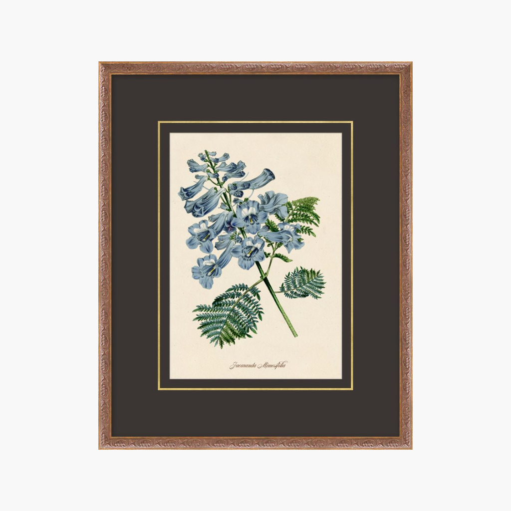 Figures of Flora 4