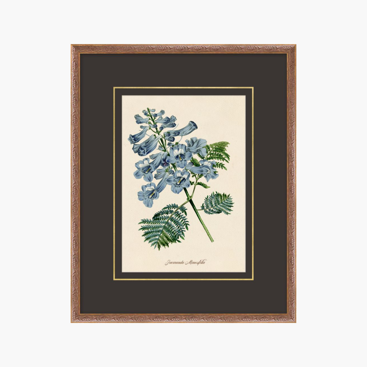 Figures of Flora 4
