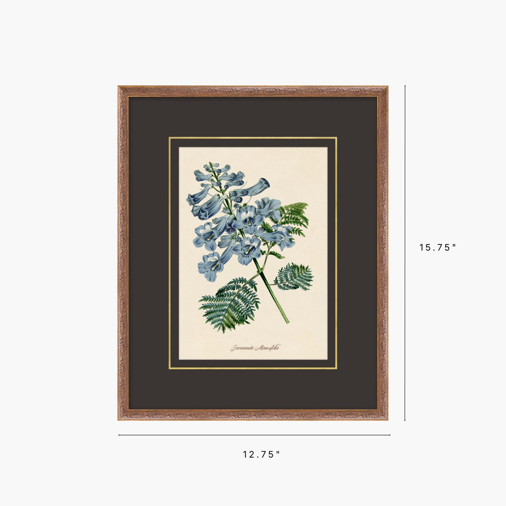 Figures of Flora 4