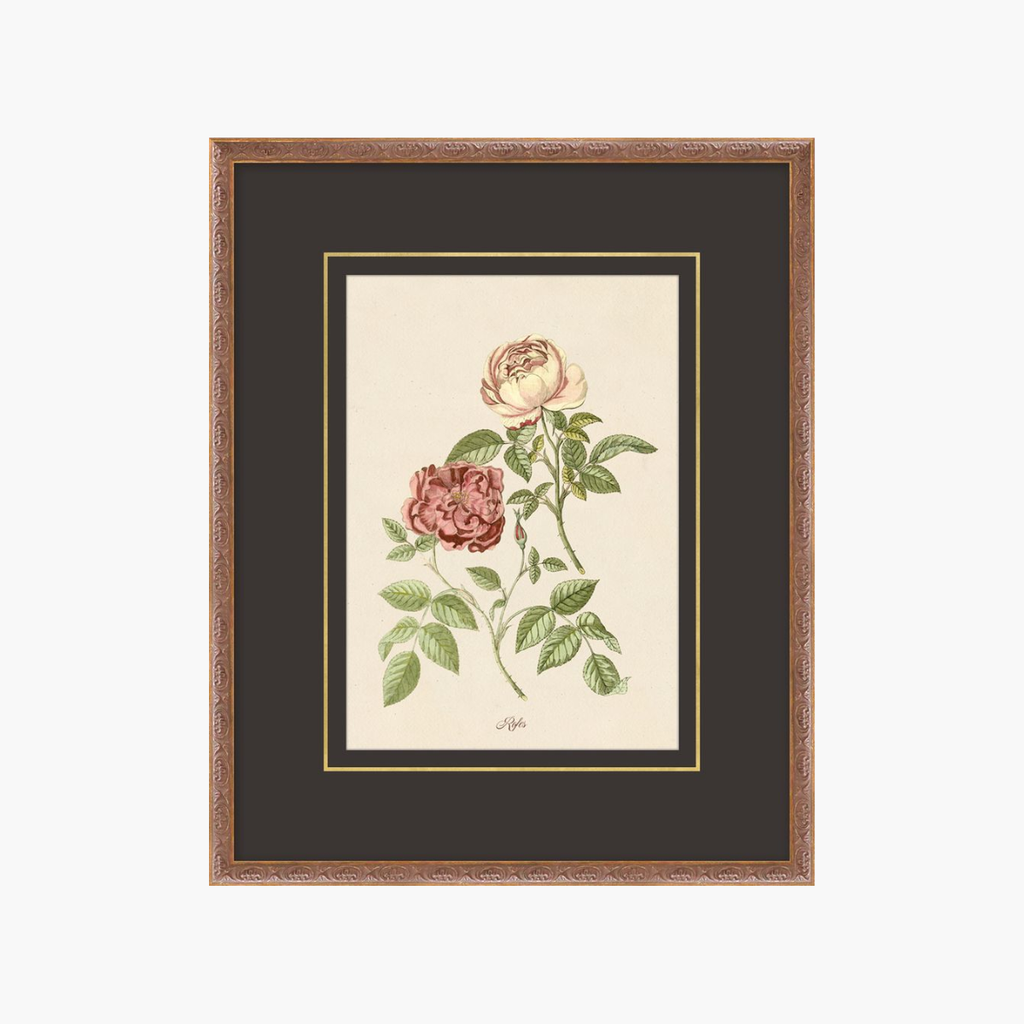 Figures of Flora 5