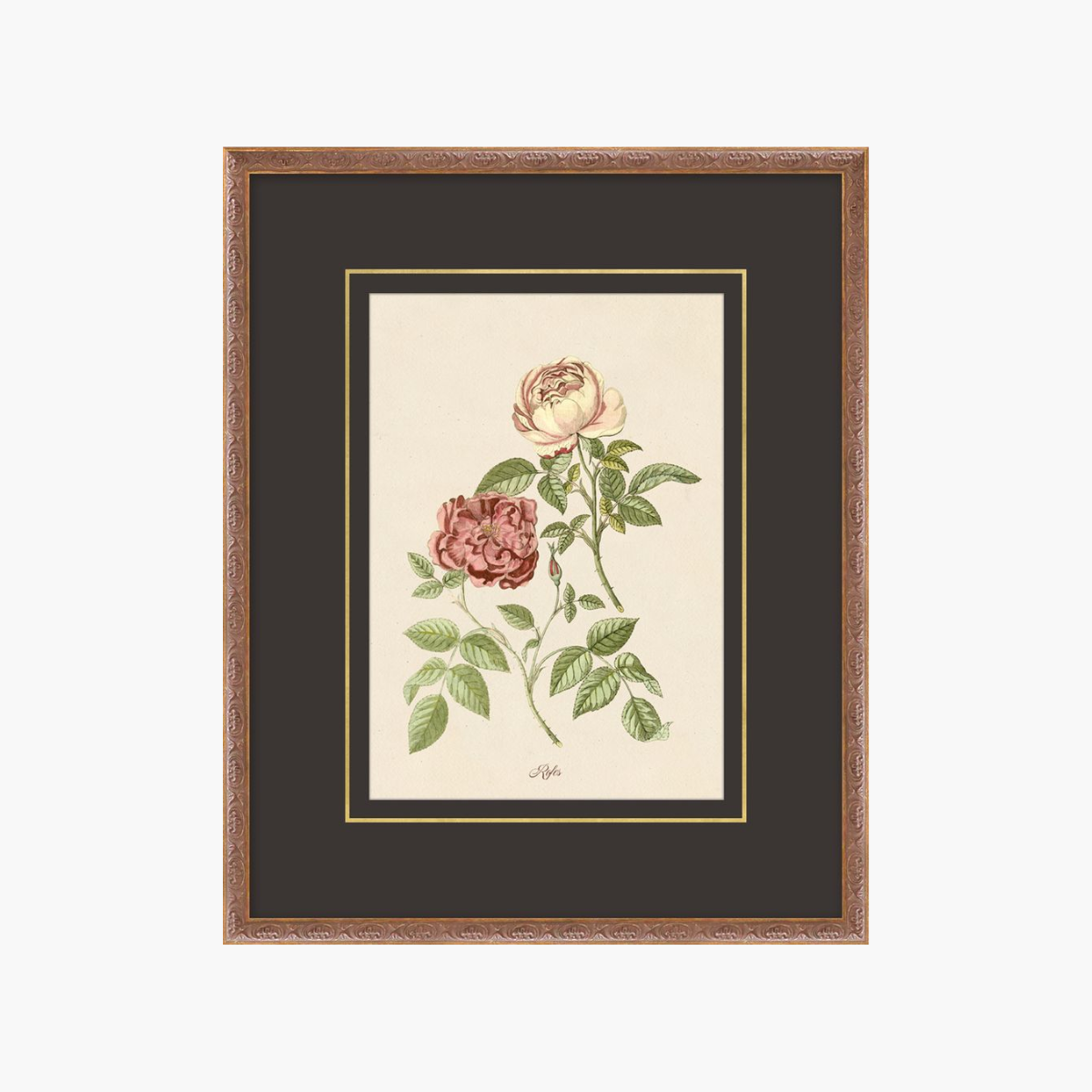 Figures of Flora 5