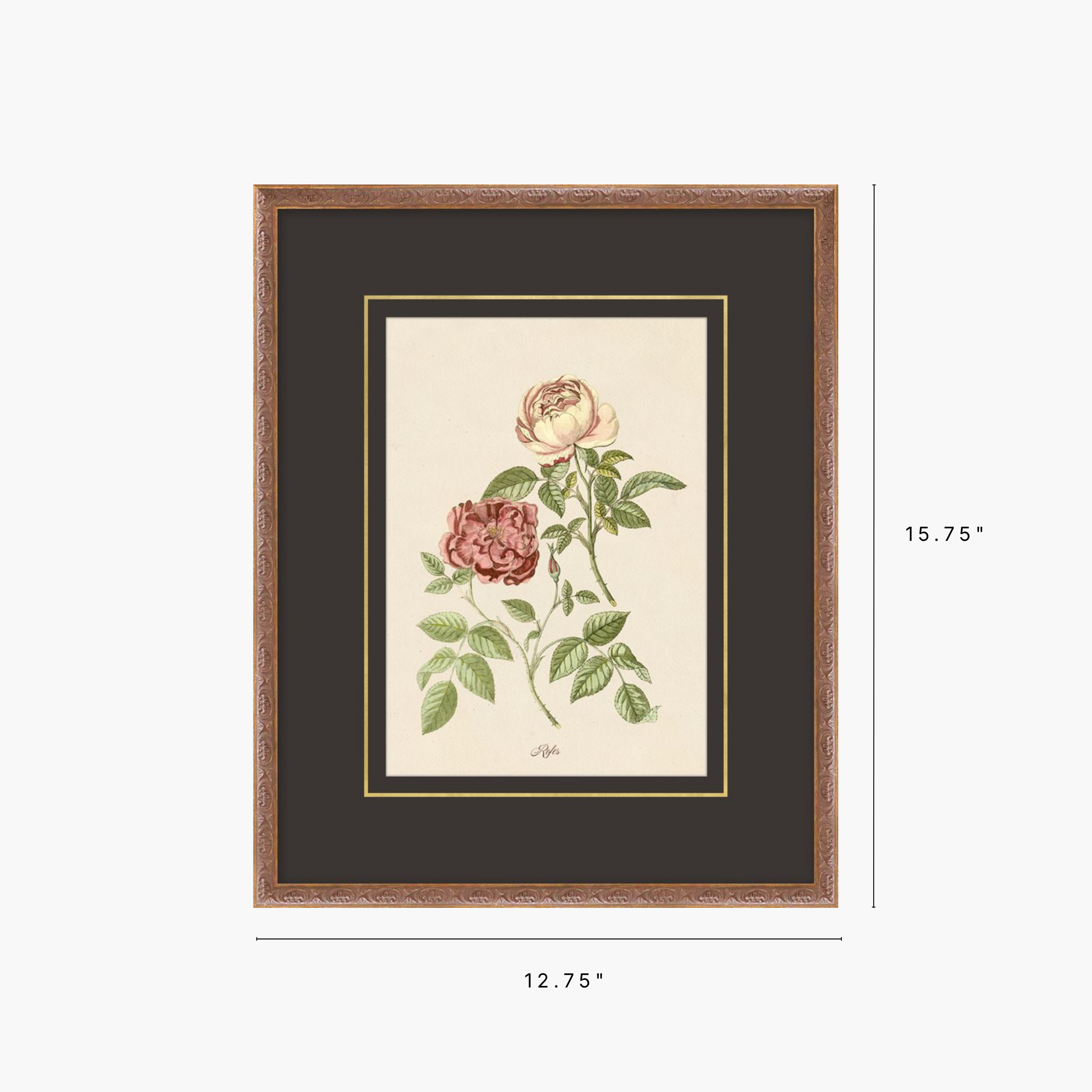 Figures of Flora 5