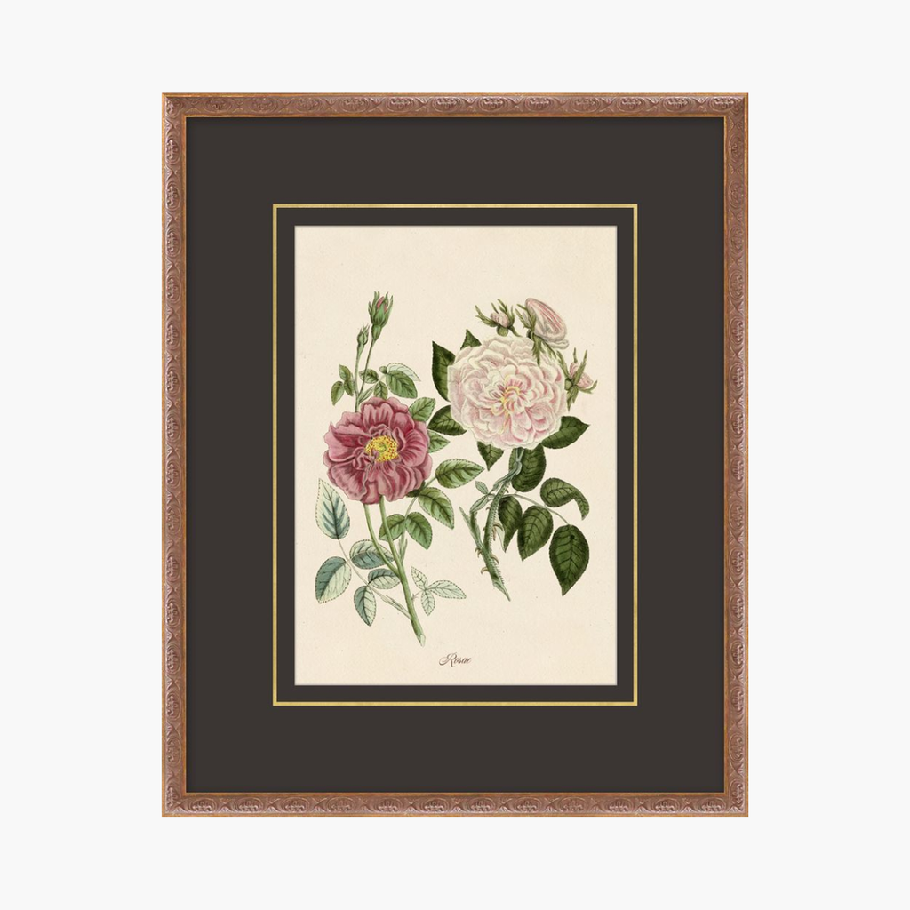 Figures of Flora 6