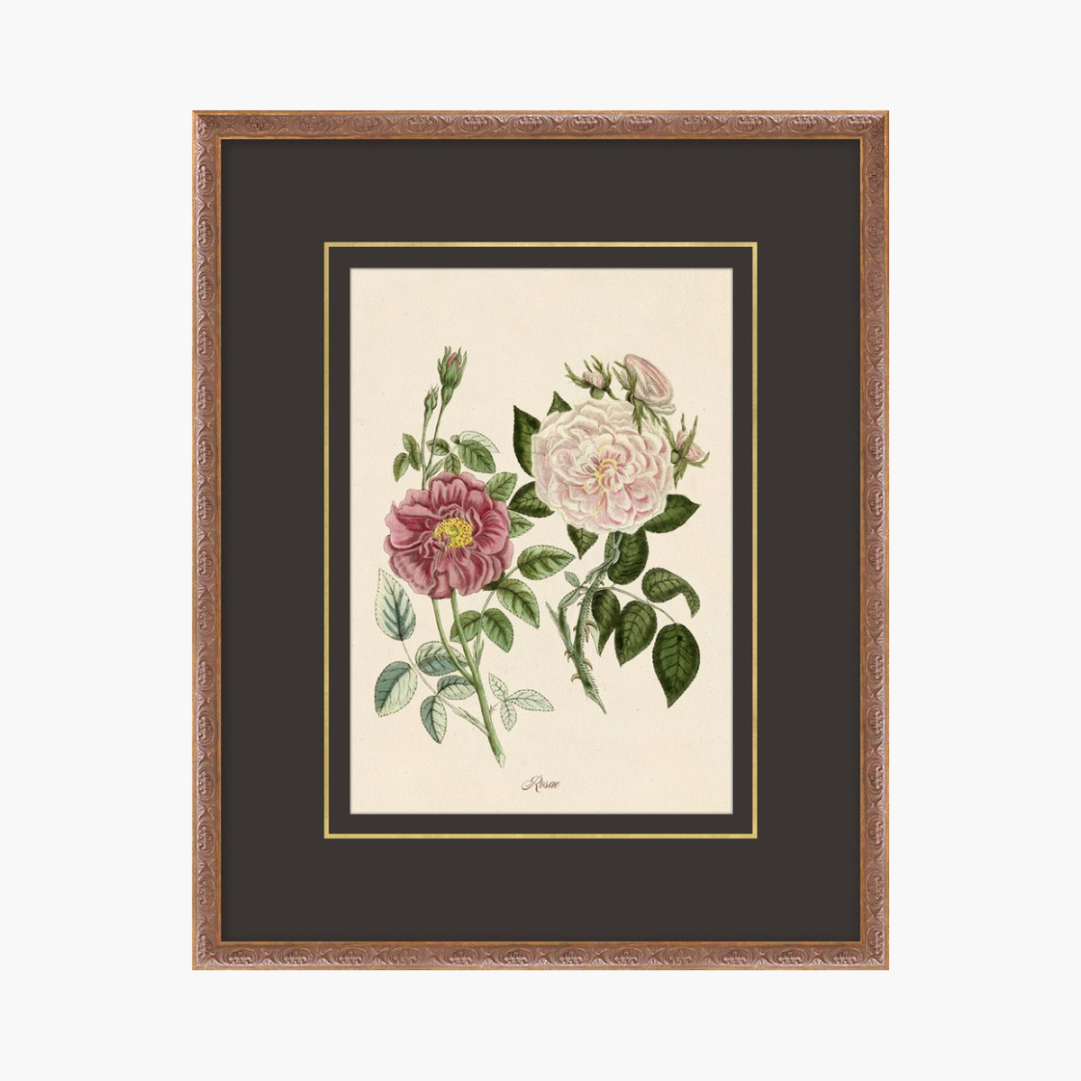 Figures of Flora 6