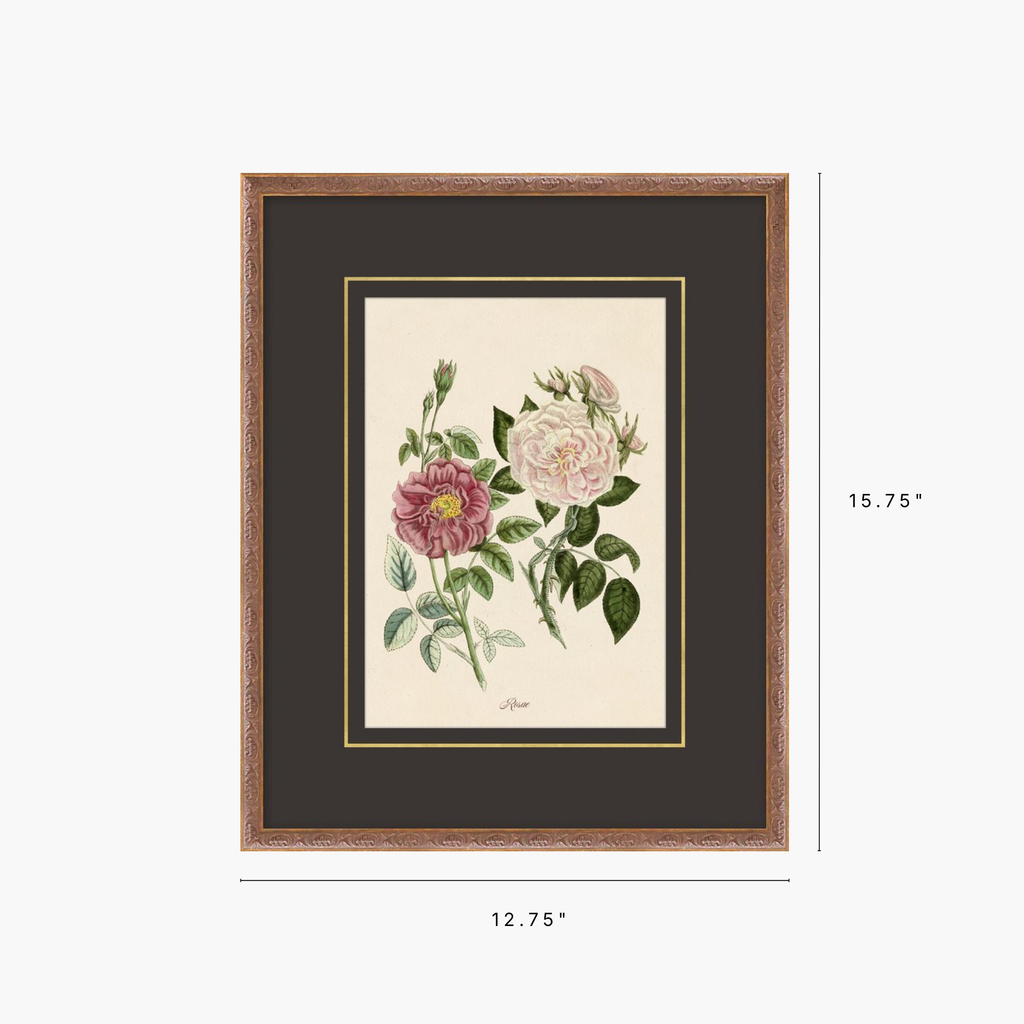 Framed botanical art print featuring pink and white roses with green leaves, set in a dark brown mat and a bronze-toned frame, with dimension labels showing 15.75 inches tall by 12.