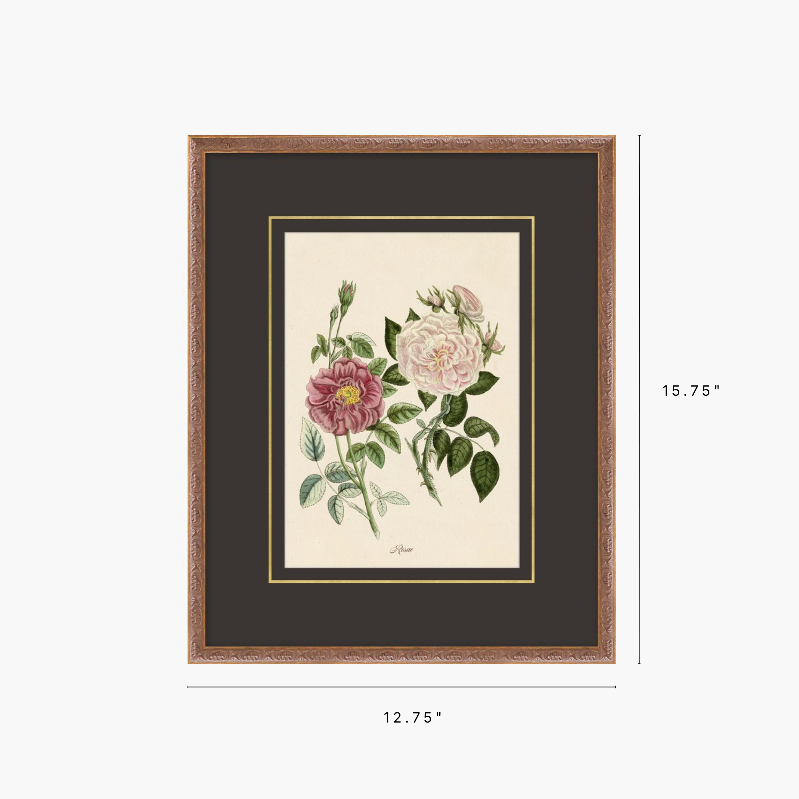Framed botanical art print featuring pink and white roses with green leaves, set in a dark brown mat and a bronze-toned frame, with dimension labels showing 15.75 inches tall by 12.