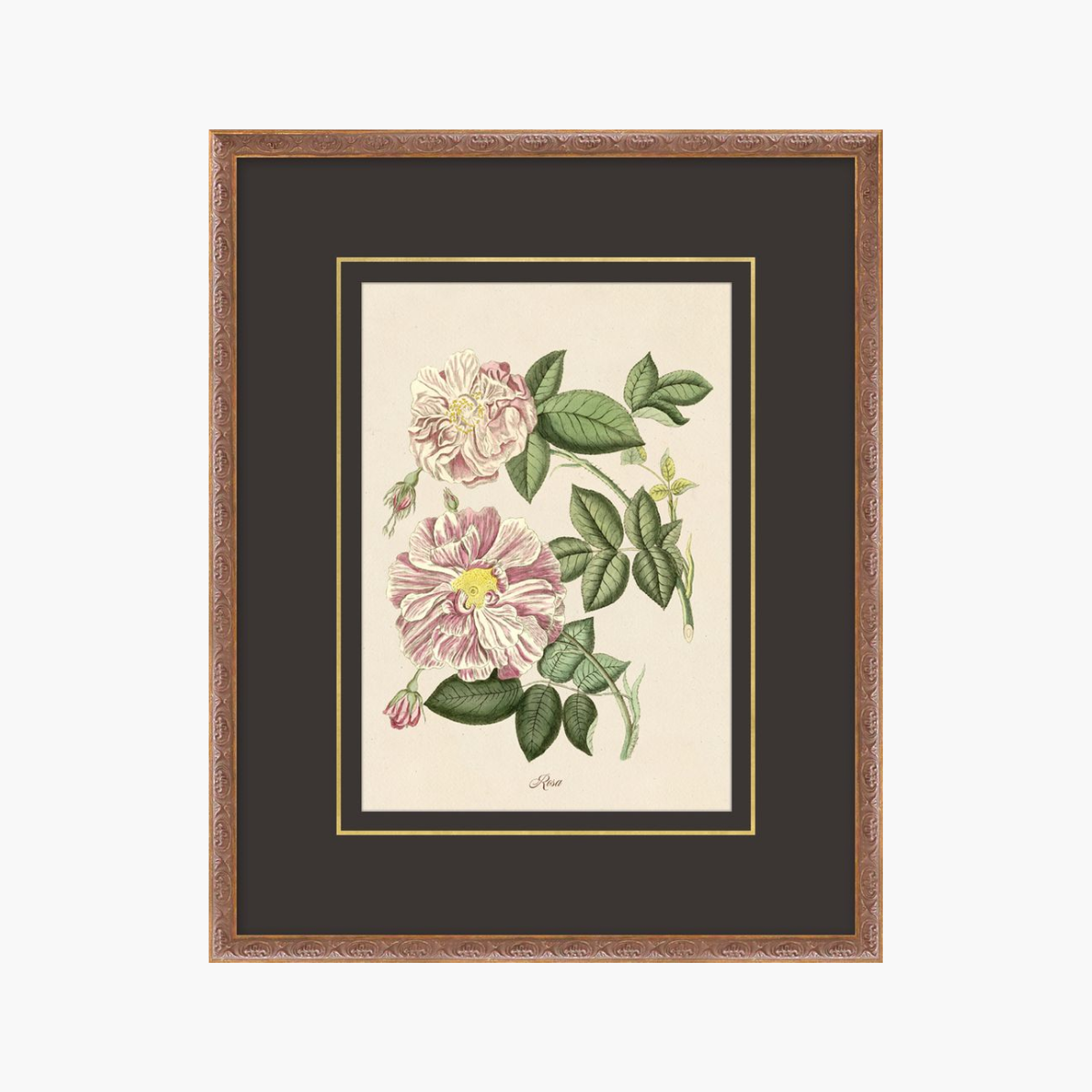 Figures of Flora 7
