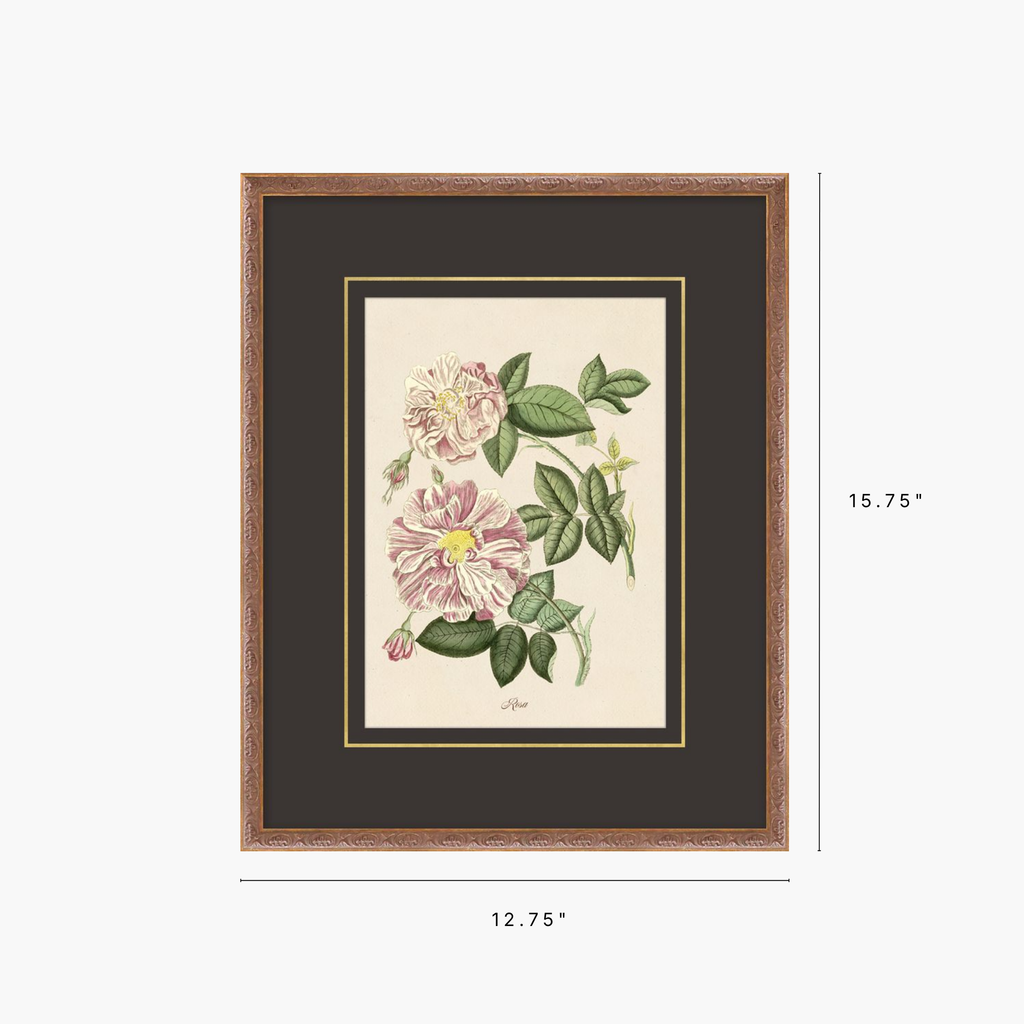 Framed botanical art print featuring pink flowers and green leaves, shown with a dark mat and wood frame on a light gray background, with dimension labels indicating 15.75 inches tall by 12.
