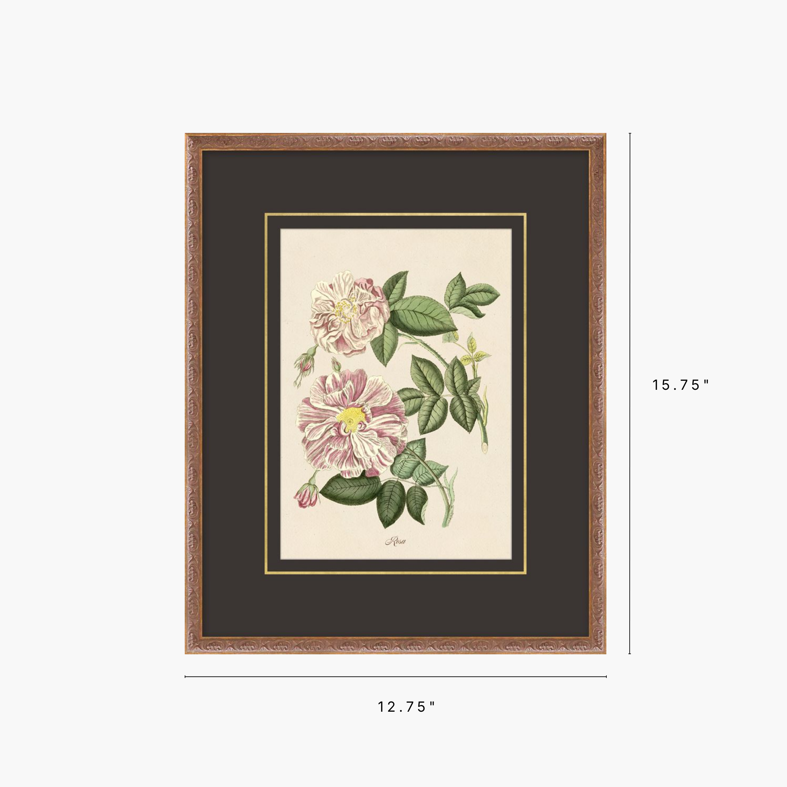 Framed botanical art print featuring pink flowers and green leaves, shown with a dark mat and wood frame on a light gray background, with dimension labels indicating 15.75 inches tall by 12.