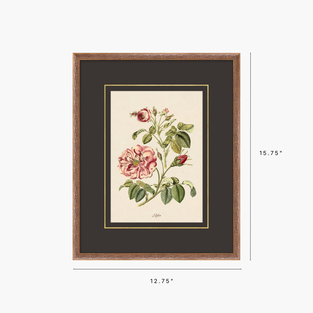 Figures of Flora 8