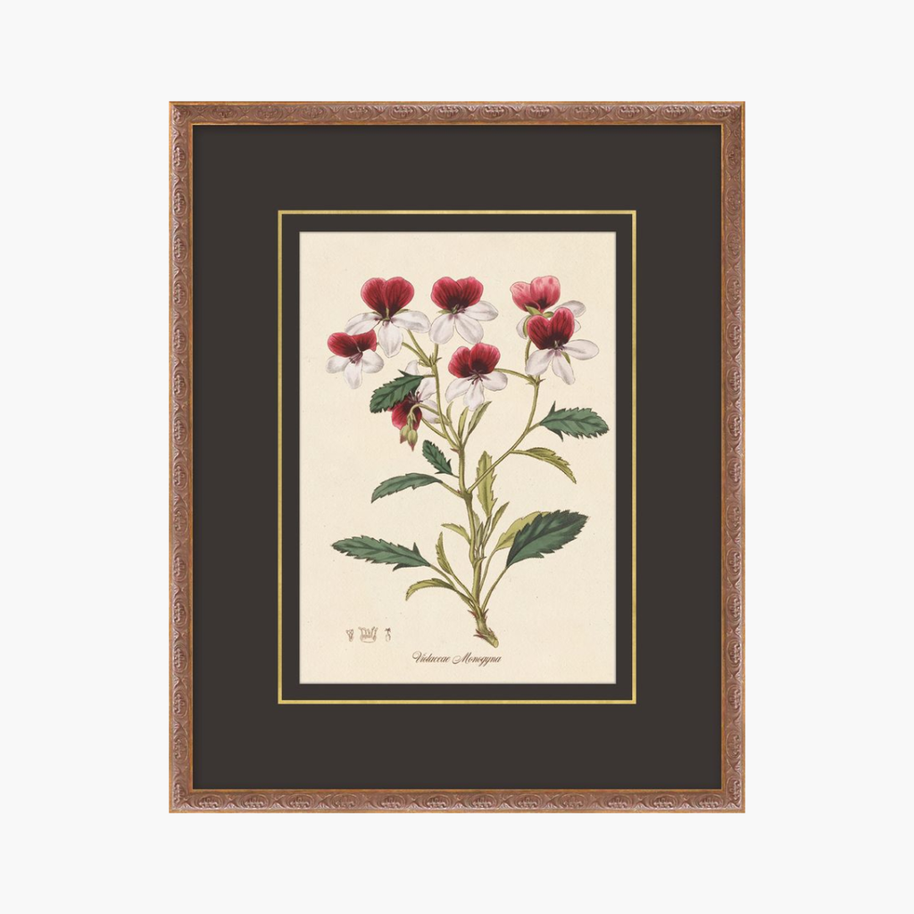 Figures of Flora 9