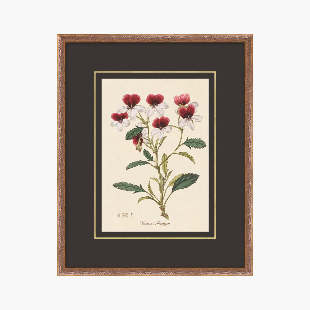Figures of Flora 9