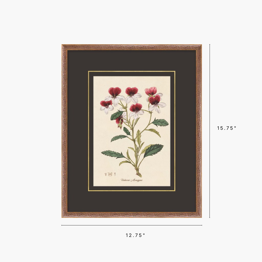 Framed botanical art print showing red and white flowers with green leaves, set in a dark mat and textured brown frame, with dimension labels of 12.75 inches wide by 15.