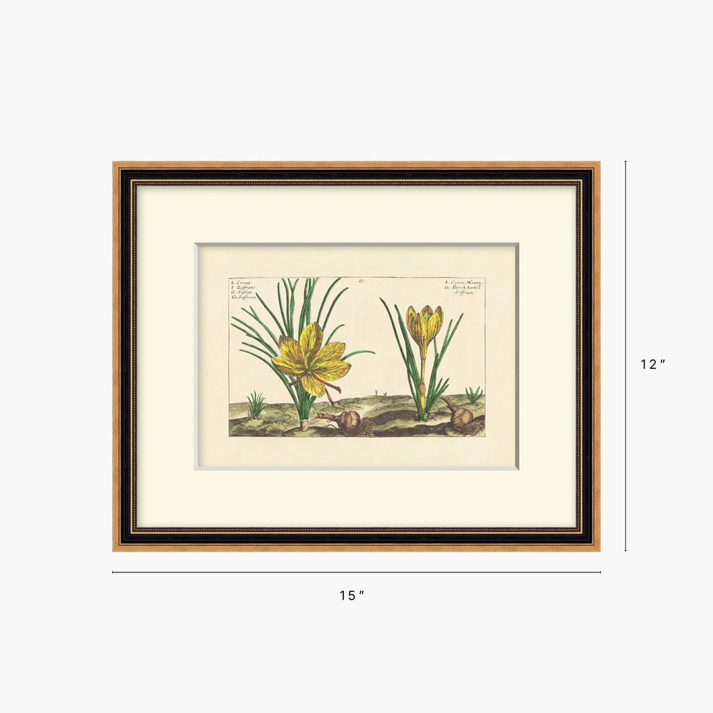 Framed botanical art print showing yellow flowers and green leaves, displayed with a cream mat and a two-tone wood frame on a light gray background, with dimension labels indicating 15 inches wide by 12 inches tall.