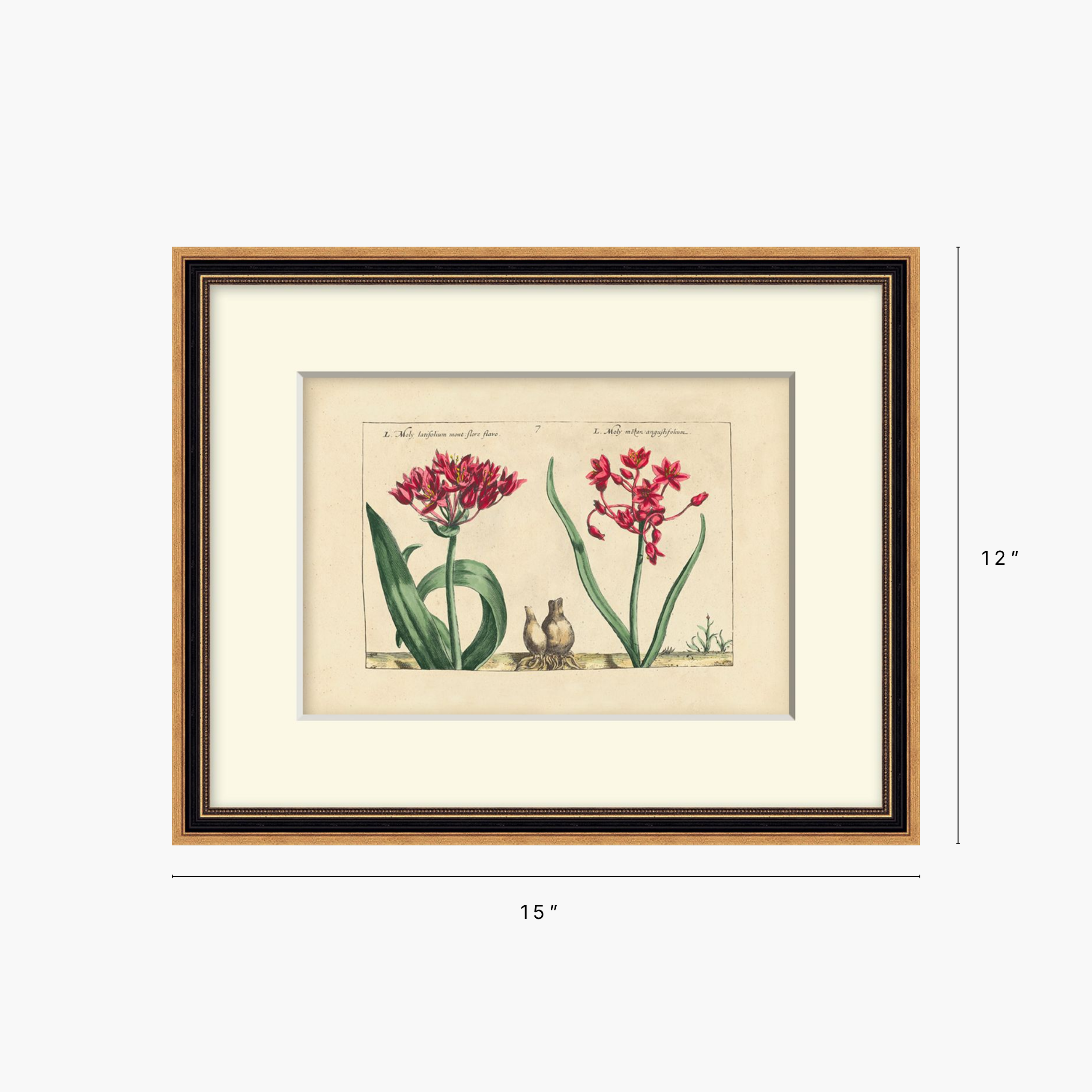 Framed botanical art print showing red flowers and green leaves on an aged paper background, with a cream mat and a dark wood frame. Dimension labels indicate 15 inches wide by 12 inches tall.