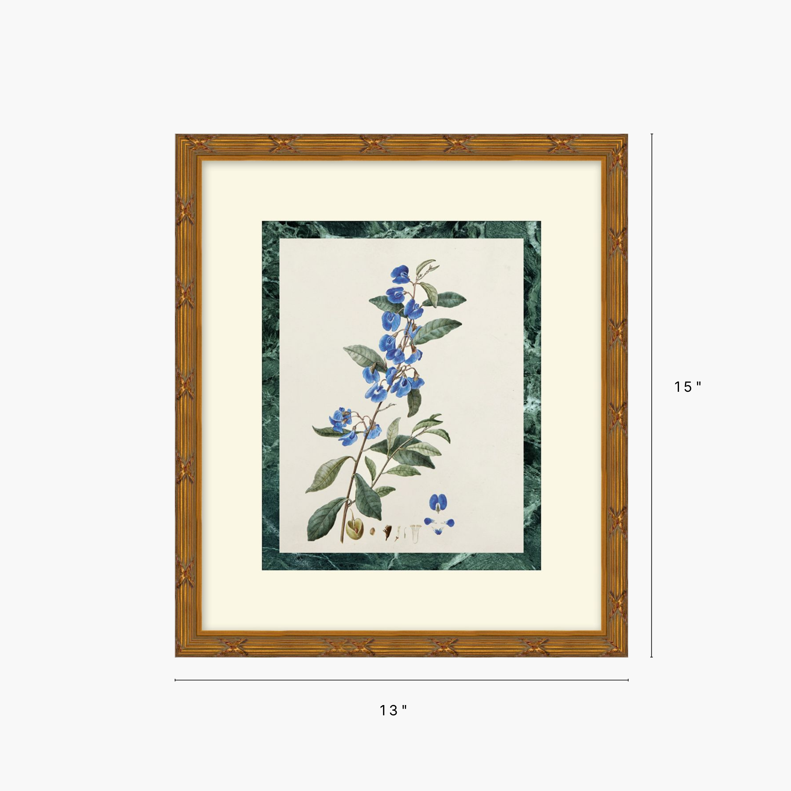 Measured Beauty 2