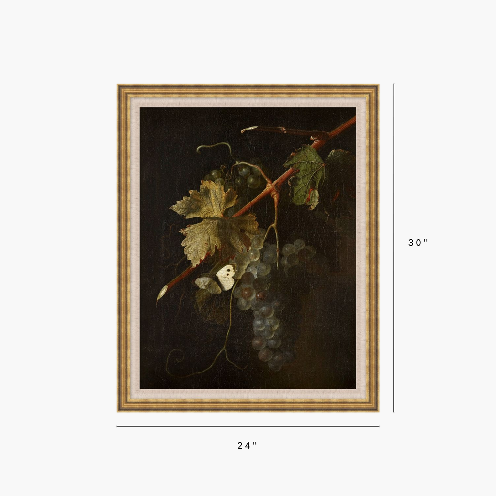 Framed wall art showing a still life painting of grape leaves and a grapevine cluster on a dark background, with dimension labels indicating 24 inches wide by 30 inches tall.