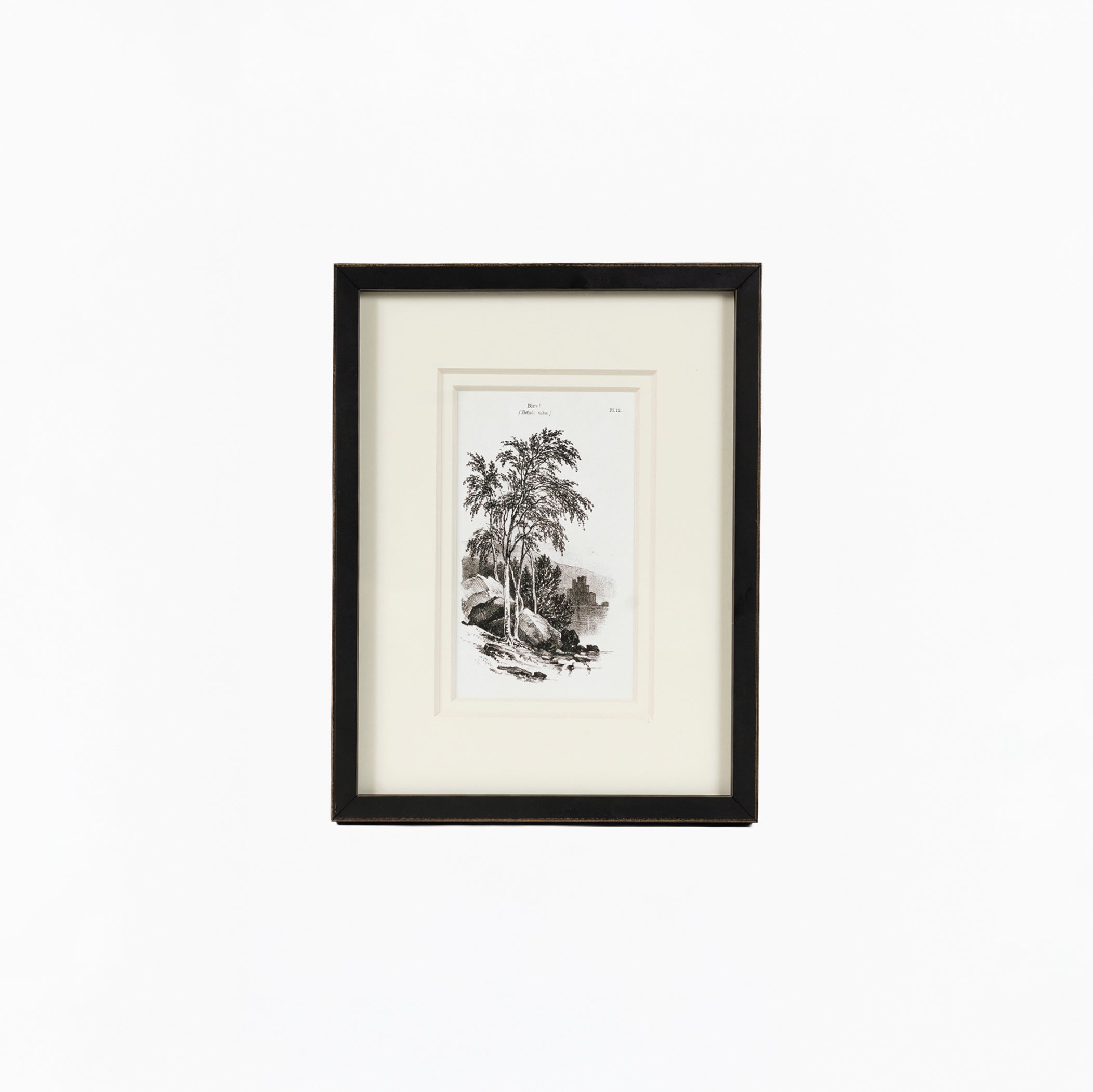 Vintage Tree 5