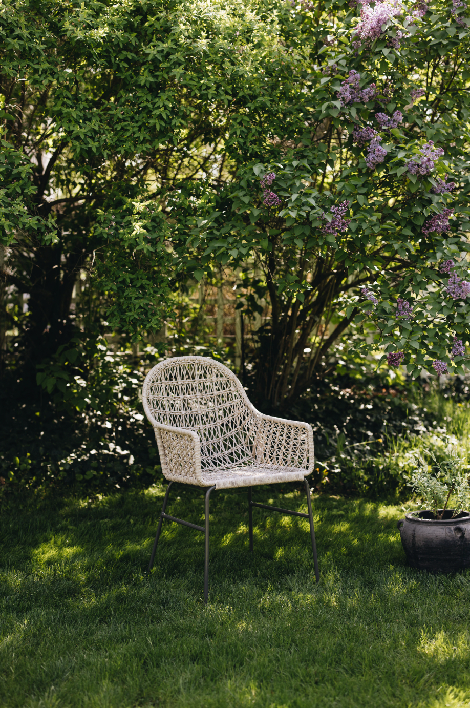 Lupe Outdoor Dining Chair