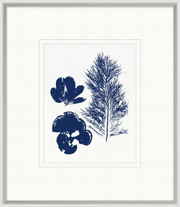 Indigo Sea Life 2