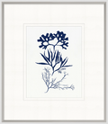 Indigo Sea Life 3