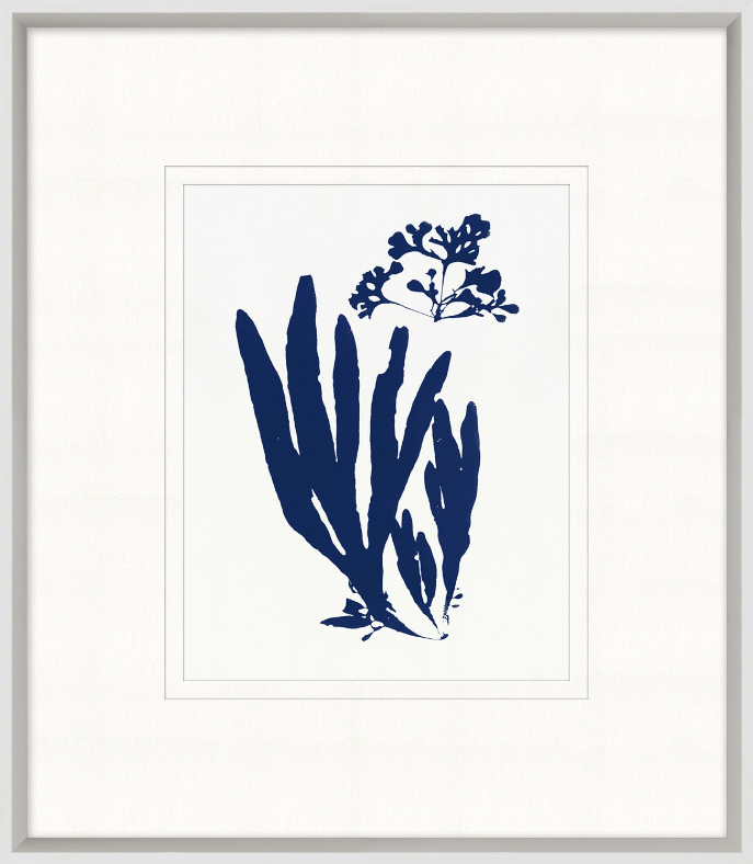 Indigo Sea Life 5