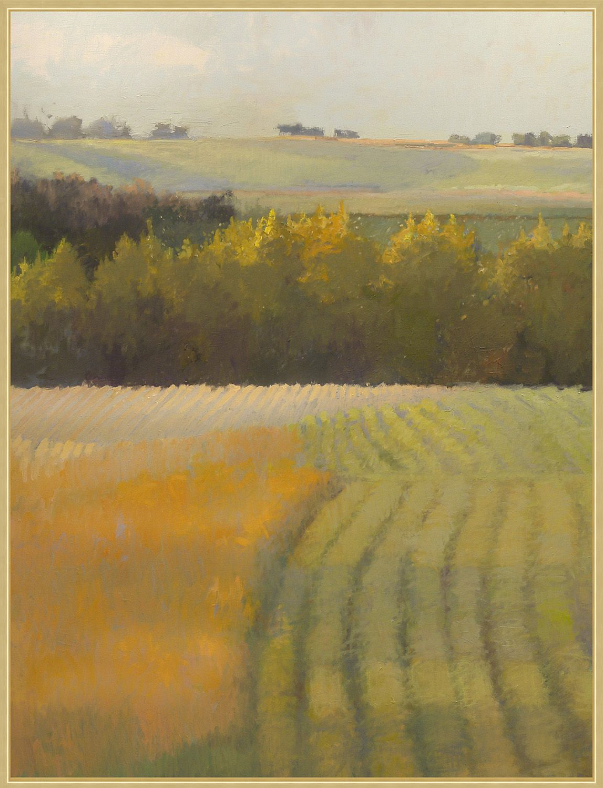 Bean Fields at Dusk