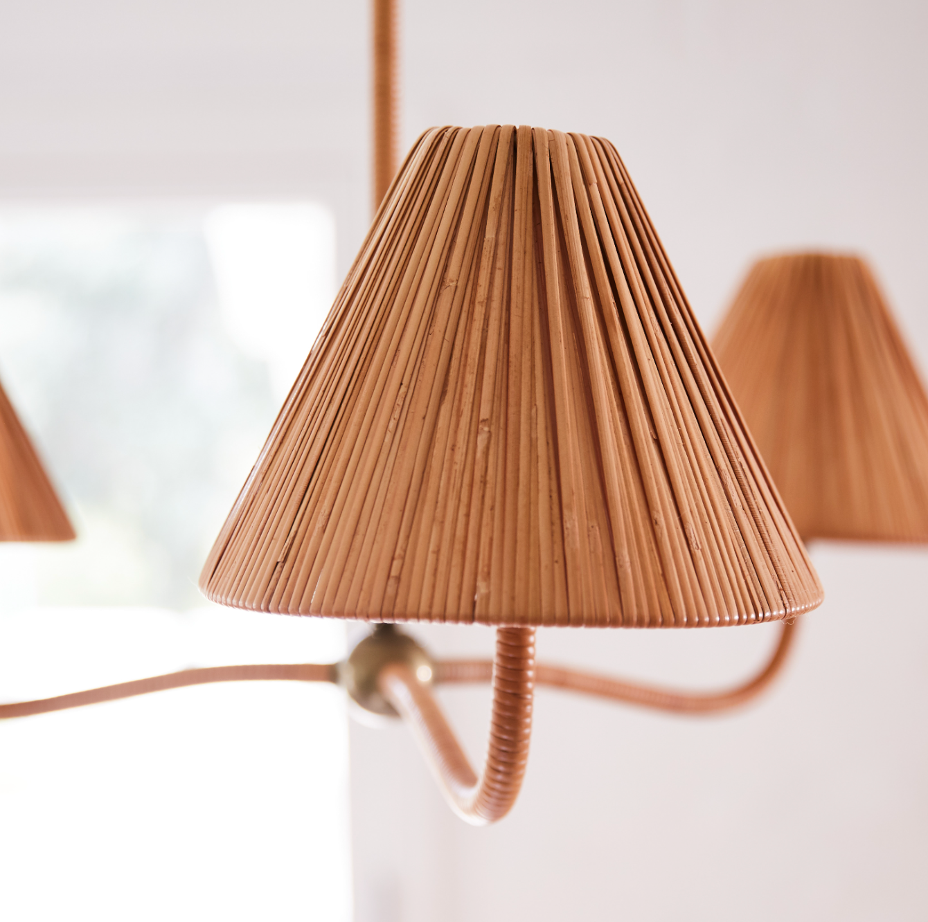Daphne Chandelier