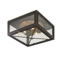 Randolph Flush Mount