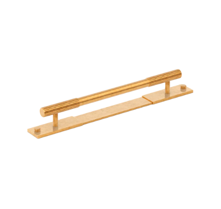 Mix Pull Handle with Backplate