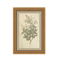 Vintage Wildflower