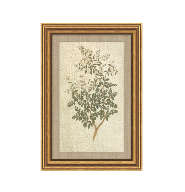 Vintage Wildflower