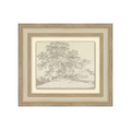 The Heirloom Tree