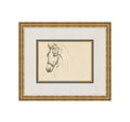 Equine Lines 4
