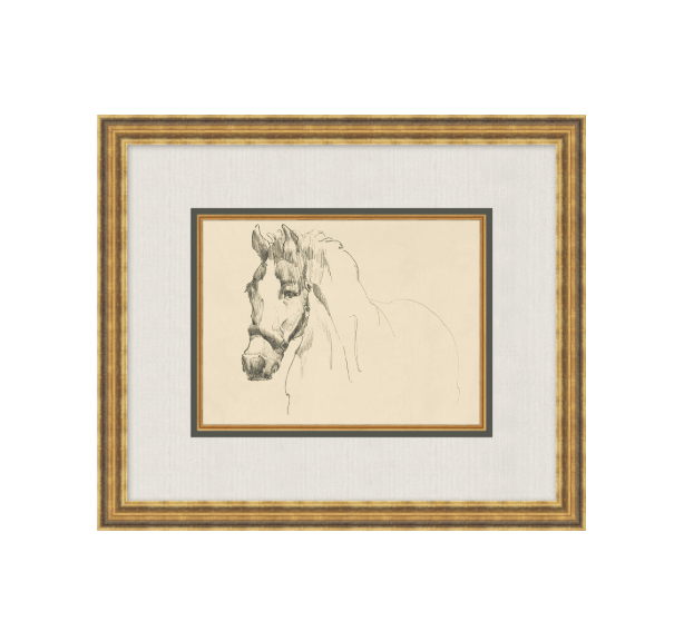 Equine Lines 4