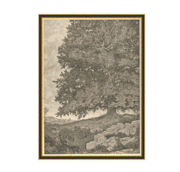 Grandfathers Tree