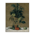 Fruit