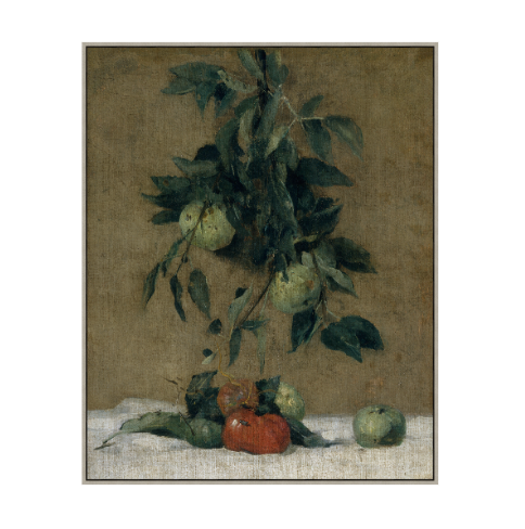 Fruit