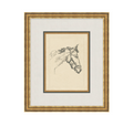 Equine Lines 1