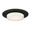 Sen 17 Flush Mount