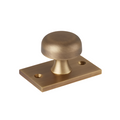 Washwood Cabinet Knob with Backplate