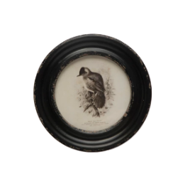 Daisy Round Framed Bird Art