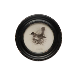 Daisy Round Framed Bird Art