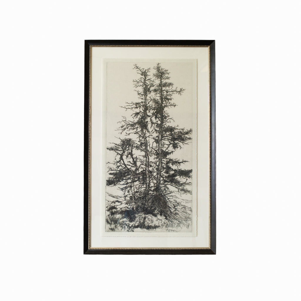 Tree Tops 3