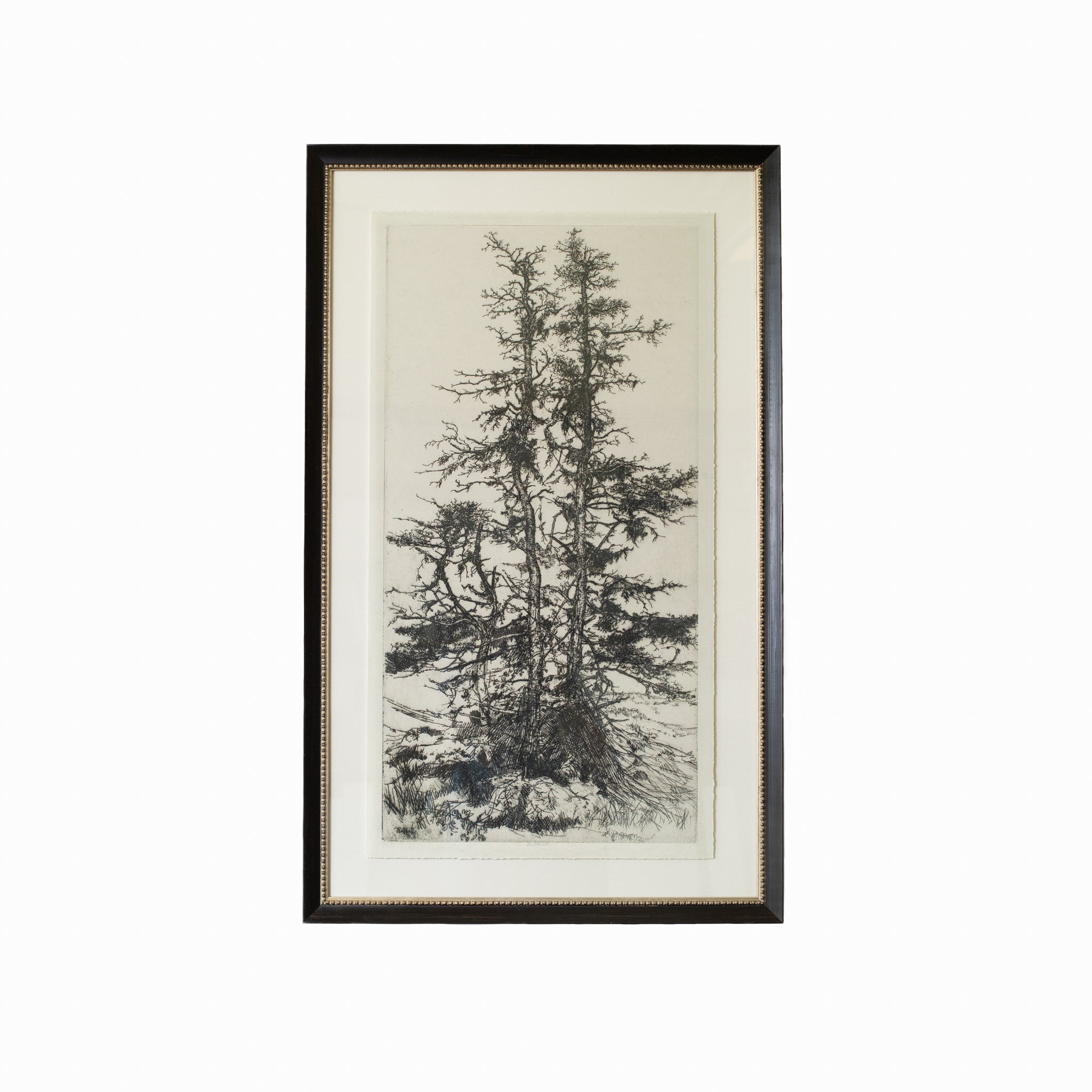 Tree Tops 3