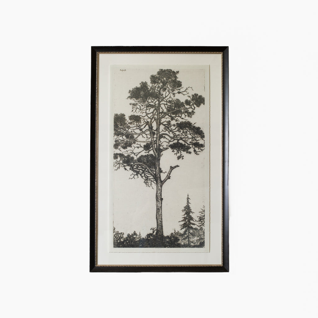 Tree Tops 1