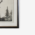 Tree Tops 1