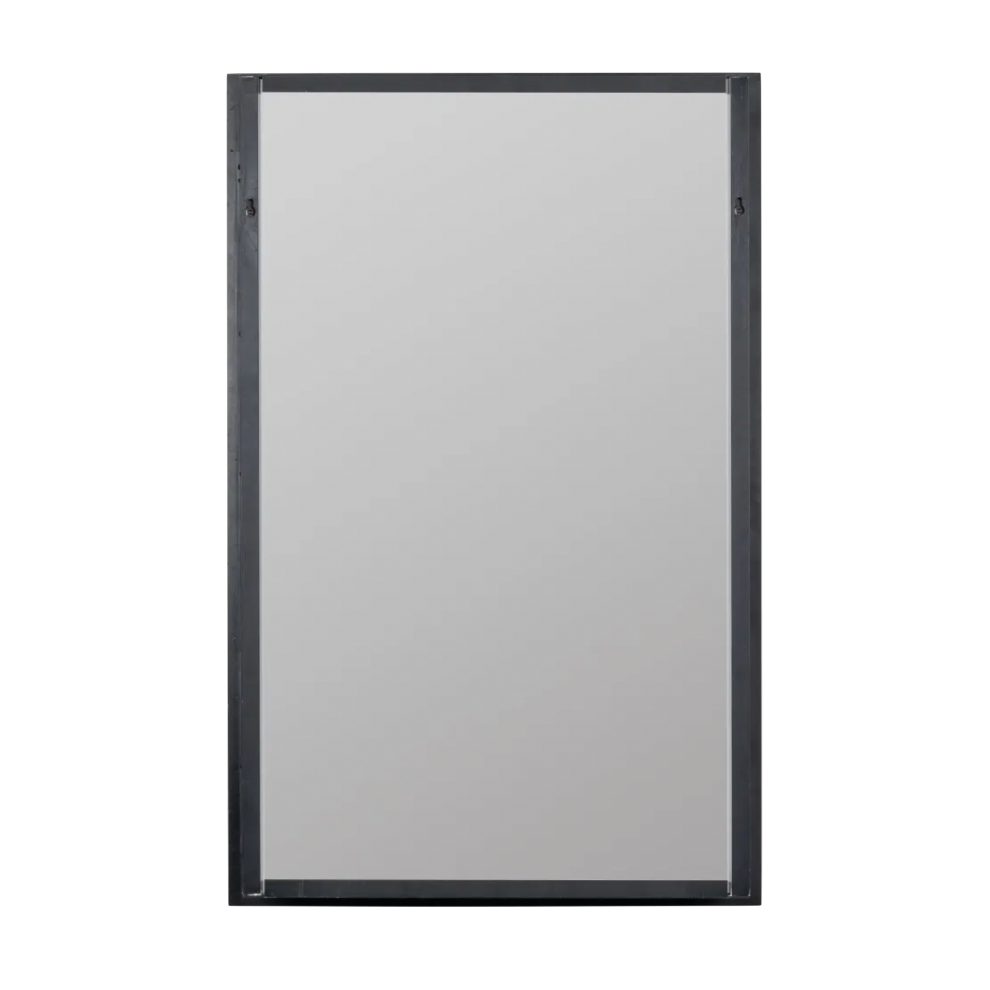 Abbott Medicine Cabinet